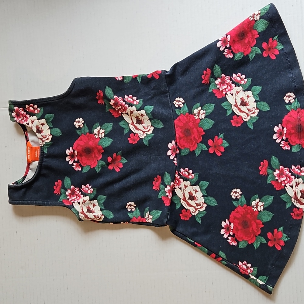 Kids Joe Fresh Dress